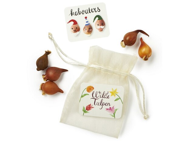 Wilde tulpen in organdi zakje -  kabouters - kindertraktatie - overzicht