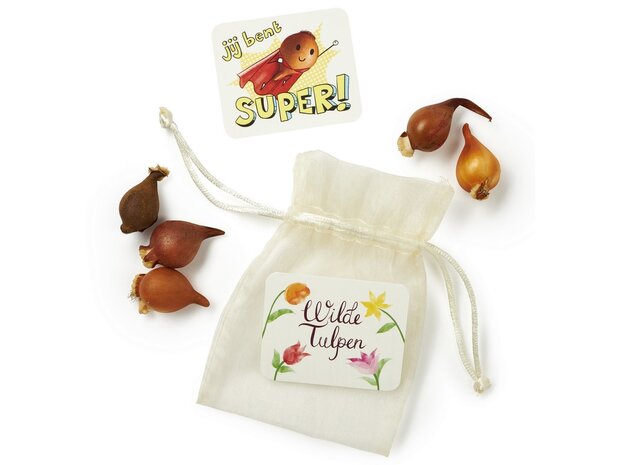 Wilde tulpen in organdi zakje -  Jij bent super - kindertraktatie - achterkant