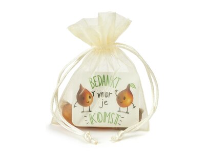 Bedankt voor je komst - Traktatie wilde tulpen in organdi zakje Bedankt voor je komst - Traktatie wilde tulpen in organdi zakje